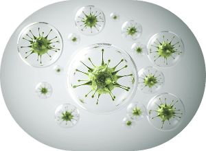 Beneficial Bacteria