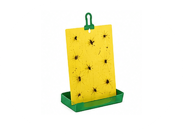 Pest Control Traps