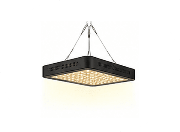 Lamps