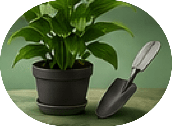 Gardening