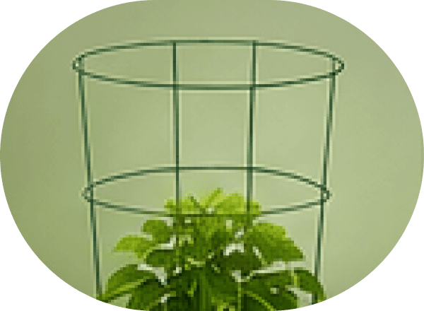 Plant Cages & Supports