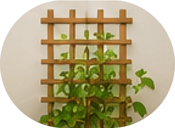 Trellises