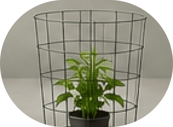 Plant Cages