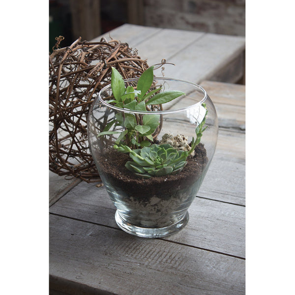 Syndicate Home & Garden® Serenity Terrarium