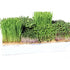 Terrafibre™ Grow Mat - 5in x 5in, 560bulk