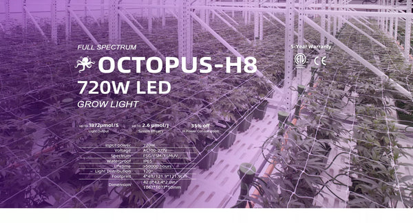 Octopus-H8 720W