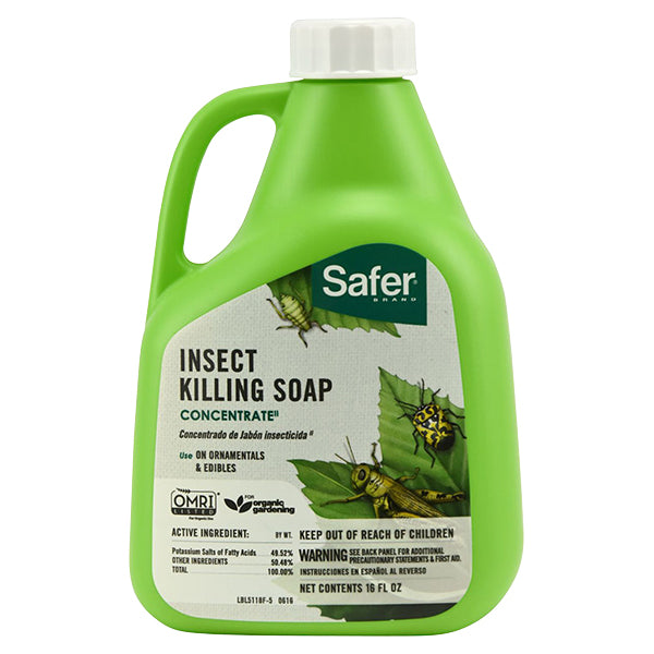 Safer Insect Killing Soap II Conc. 16 oz (6/Cs)